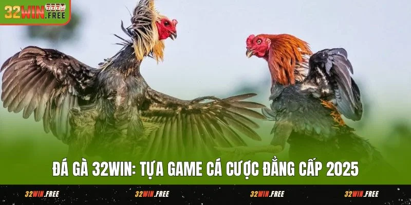 đá gà 32win com tựa game cá cược hấp dẫn 2025